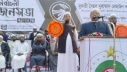 জামায়াতকে যারা ইসলামী দল বলে তারা বোকার স্বর্গে থাকে :চরমোনাই পীর