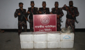 ক্ষতিকর জেলি মিশ্রিত ১৬৪ কেজি বাগদা চিংড়ি জব্দ