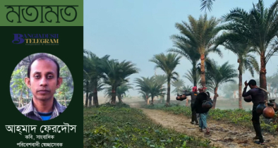 শীতের যশোর : খেজুর রস, পিঠা-উৎসব আর লোকগানমুখর এক মায়াবী মৌসুম