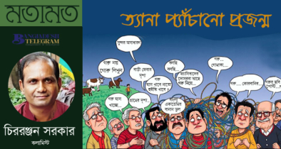 ত্যানা প্যাঁচানো প্রজন্ম